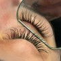 Classic Lashes