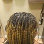 Freestyle Braids (Male or Female )