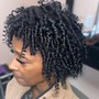 Mini Braid Twists