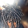 Mini Twists