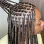 Traditional Braids