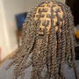 Dreadlocks Above Shoulder