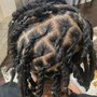 Loc Updo