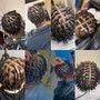 Havana Twists