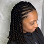 Natural styles/updo/twistout ( option of steam treatment or trim included )