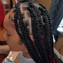 Small Box Braids