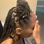 Micro/Sister starter locs