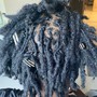 Micro/Sister starter locs