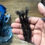 Root Touch Up