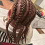 Feed In braids