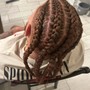 Feed In braids