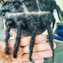 Individual Braids (on Natural hair )