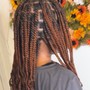 Kid's box Braids medium