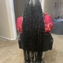 Fulani Braids ( Butt Length )