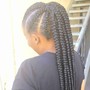 Poetic Justice Braids