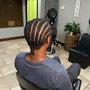 Two Strand Twists