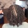 Starter Dreadlocks