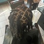 Small Mid Back Butterfly Locs