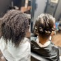 Root Touch Up