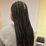 Lemonade Knotless Braids