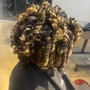 Root Touch Up