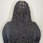 Medium Traditional Box Braids