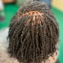 Interlock (small) Locs