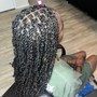 Medium Passion Twists (Waist Length)