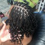 Small Passion Twist (Waist Length)