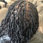 Starter Locs