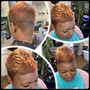 The Works(Shortcut-Relaxer-Color-Conditioning)