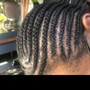 Tree Braids