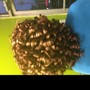 Natural Perm Rods