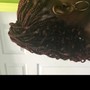 Loc Re-twist