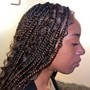 Havana Twists