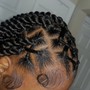 Box Braids