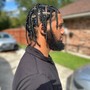 Starter Locs