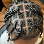 Starter locs