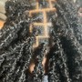 Medium Butterfly Locs