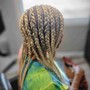 Tribal braids with sew-in in back