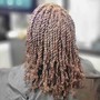 Flat Twist/Braids/2-Strand Twist Combo