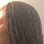 Bohemian Braids w/ 100% Human Hair (Small)