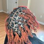 Poetic Justice Braids