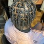 Two Strand Twists/Natural Hair