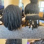 Starter Locs