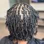 Starter Locs (ear to shoulder length)