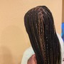 Medium Bohemian Knotless Braids