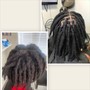 Starter Locs medium( free retwist in two weeks time)