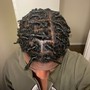 Starter locs