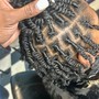 Traditional Two-Strand Twist Starter Locs